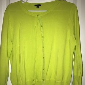 Ann Taylor sweater (Large)